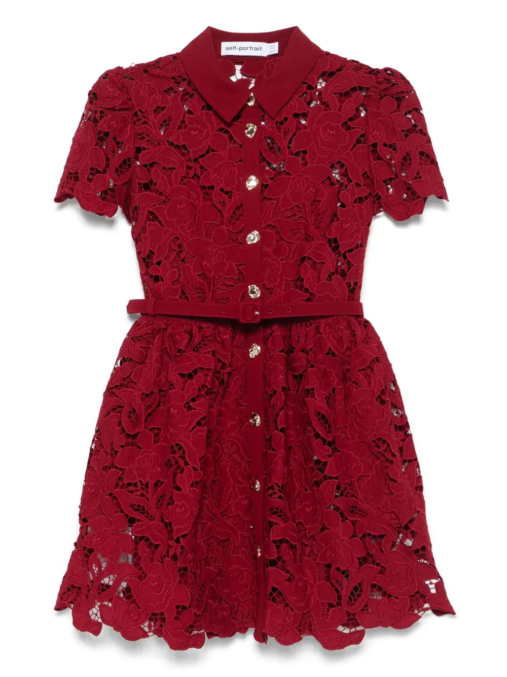 Self Portrait Floral Lace Mini Dress — Same as shown — Size XS — Front View
