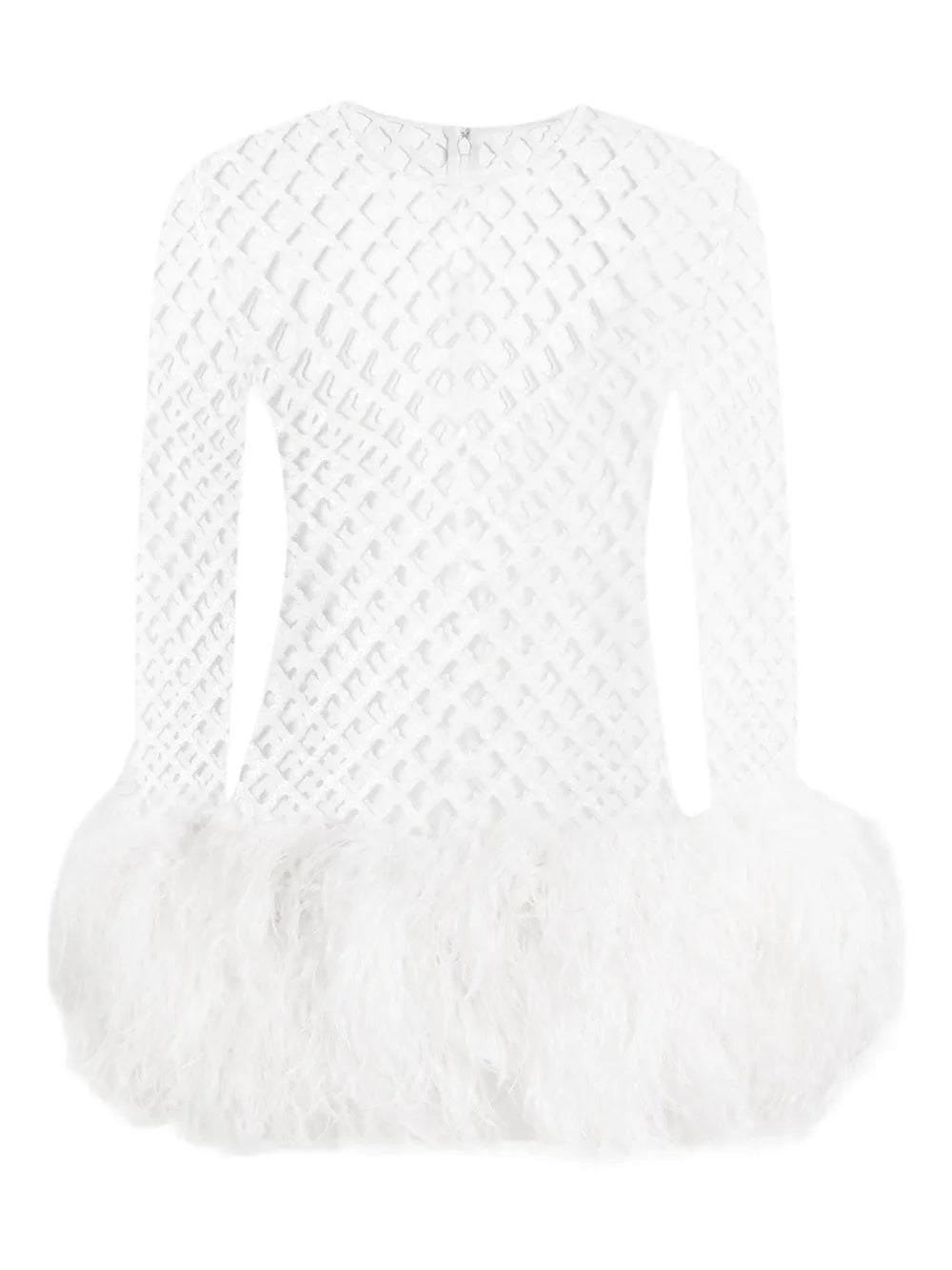 Dolce Gabbana Mesh Feather Trim Mini Dress — White — Size S — Front View