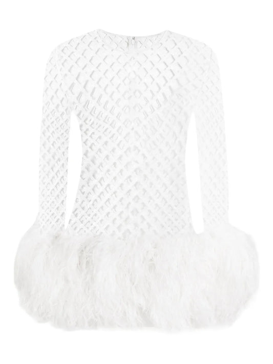Dolce Gabbana Mesh Feather Trim Mini Dress — White — Size S — Front View