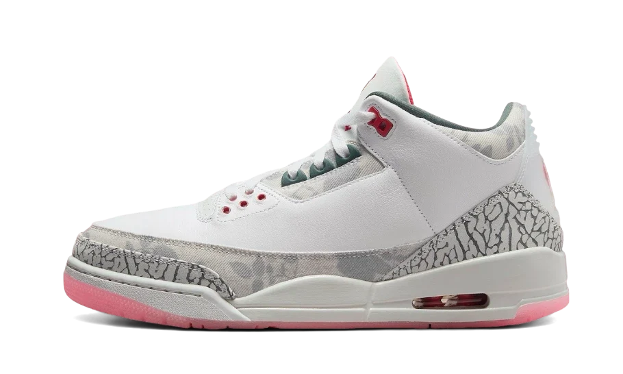 air-jordan-3-retro-wings