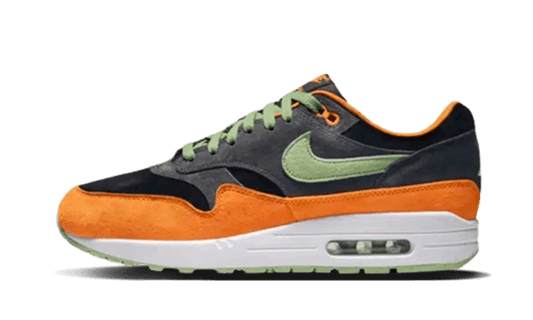 Air Max 1 PRM Duck Anthracite