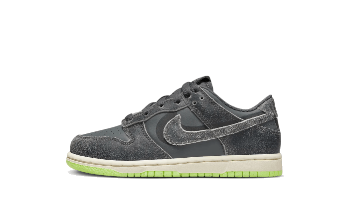 Dunk Low Swoosh Shadow Iron Grey Enfant (PS)
