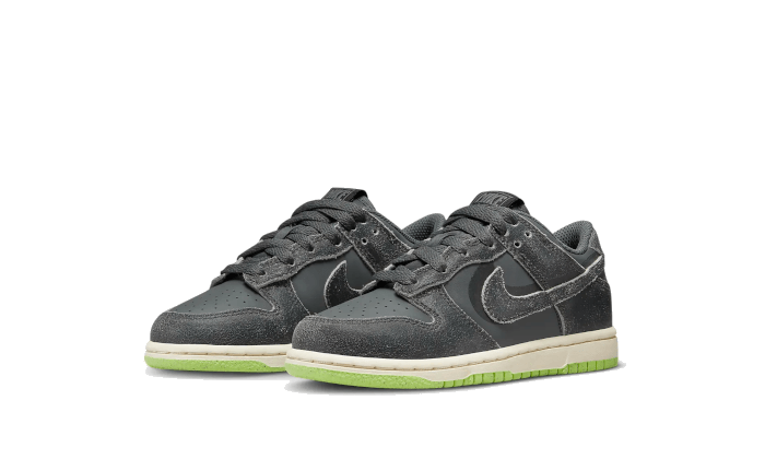 Dunk Low Swoosh Shadow Iron Grey Enfant (PS)