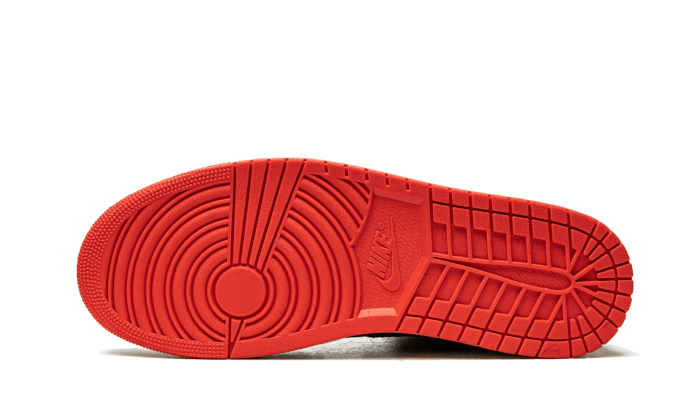 Air Jordan 1 Mid SE Siempre Familia DN4904-001