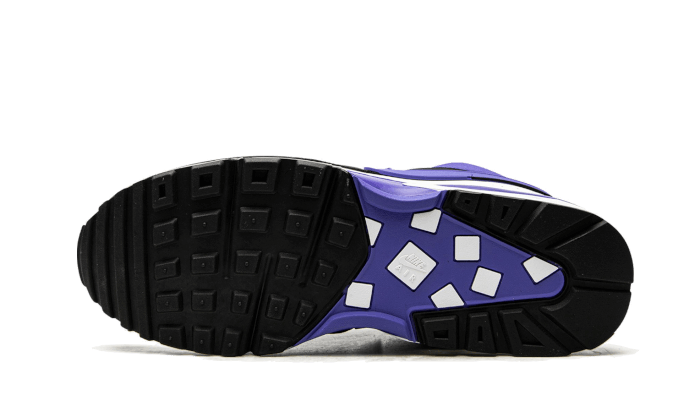 Nike Air Max 98 BW Persian Violet - DJ6124-001