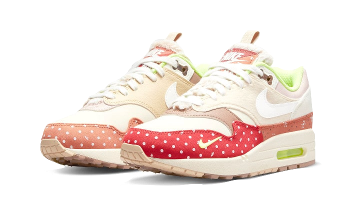 Nike Air Max 1 PRM Best Friend