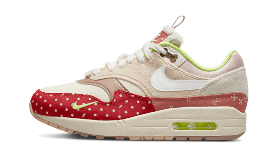 Nike Air Max 1 PRM Best Friend