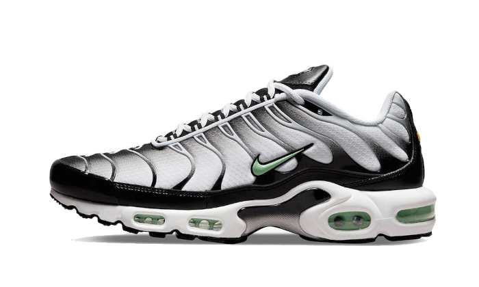 Air Max Plus Seafoam Grey Black