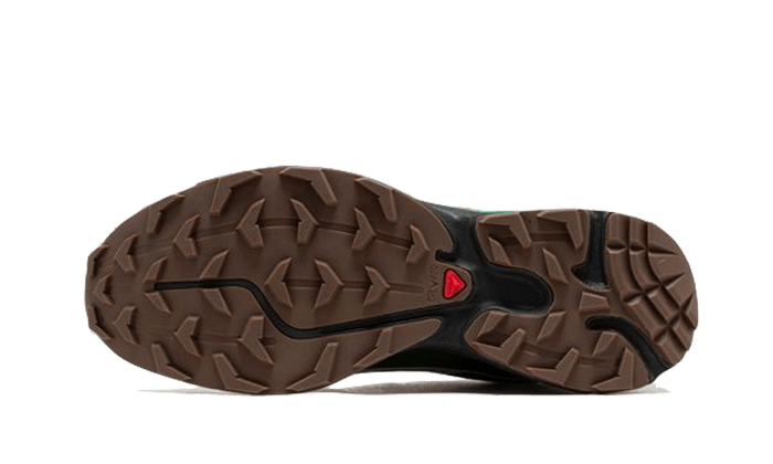 Salomon Advanced XT-6 Gore-Tex Eden Green Ash