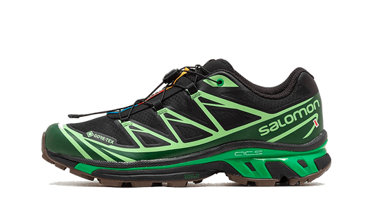 Salomon Advanced XT-6 Gore-Tex Eden Green Ash