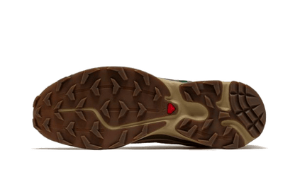 Salomon XT-6 Rubber Lizard